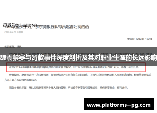 魏震禁赛与罚款事件深度剖析及其对职业生涯的长远影响
